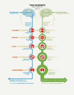 Fixed vs. Growth: The Two Basic Mindsets That Shape Our Lives